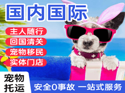 潮汕机场物流国际宠物托运 【国